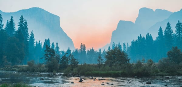 The Energy Transition